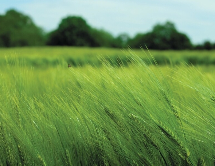 Свободное дыхание - Санаторий «Нарзан» Кисловодск