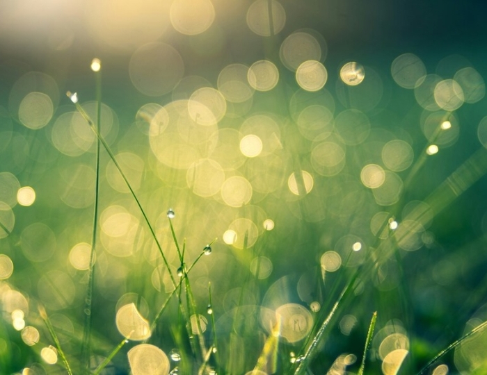 Реабилитация после Covid-19 - Санаторий «Нарзан» Кисловодск