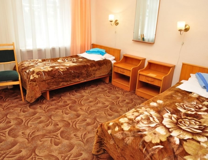 Стандарт двухместный 2 кат. («Центральный») - Санаторий «Нарзан» Кисловодск