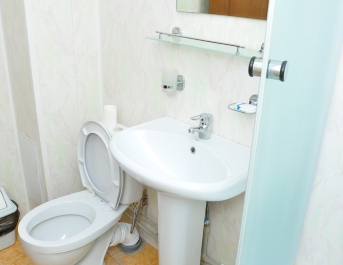 Улучшенный двухместный 1 кат. («Центральный») - Санаторий «Нарзан» Кисловодск