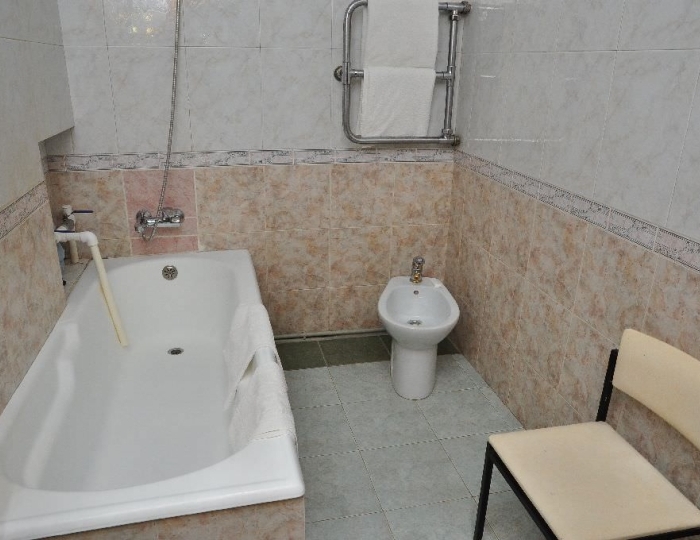 Люкс 1-местный двухкомнатный («VIP Дача космонавтов») - Санаторий «Нарзан» Кисловодск